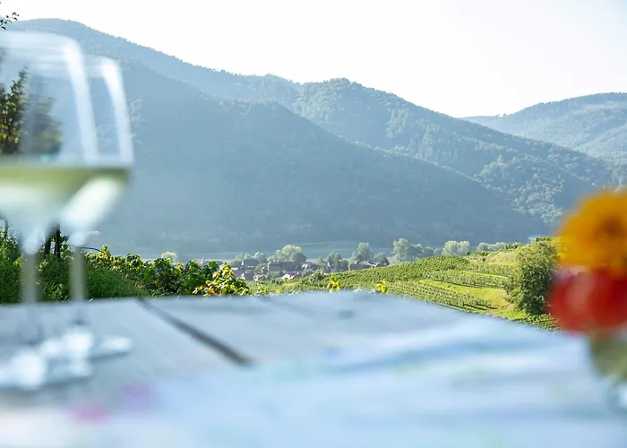 Weinbau Weidenauer