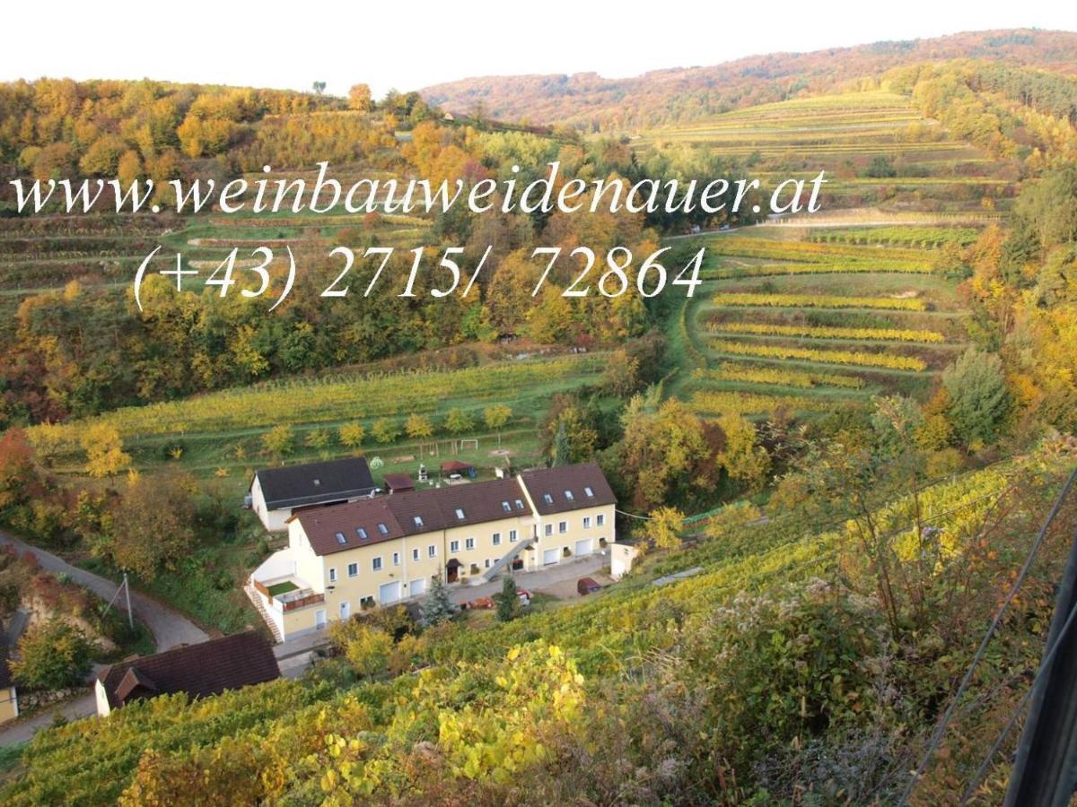 Weinbau Weidenauer Privatunterkunft