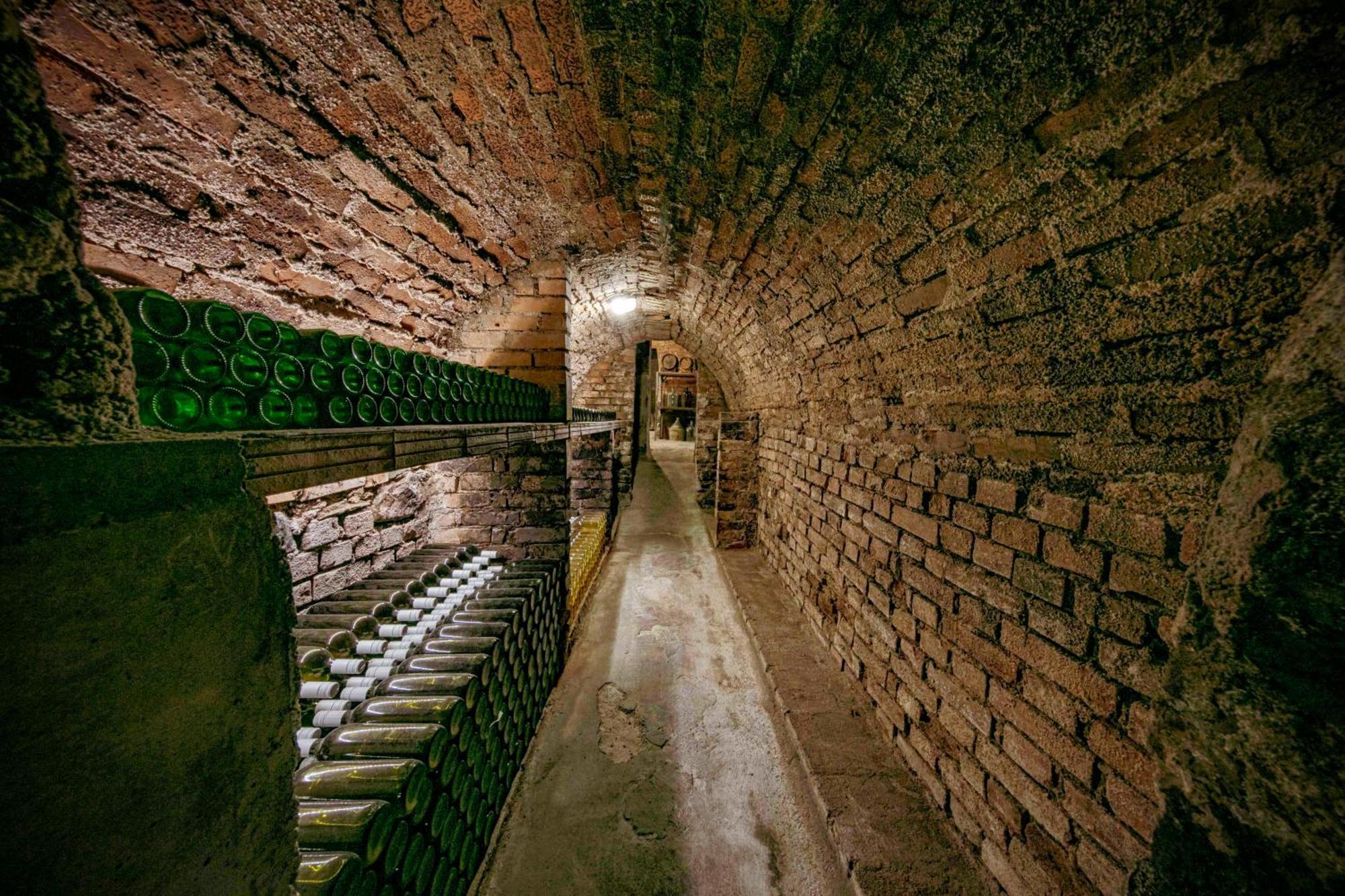 Weinbau Weidenauer Wösendorf