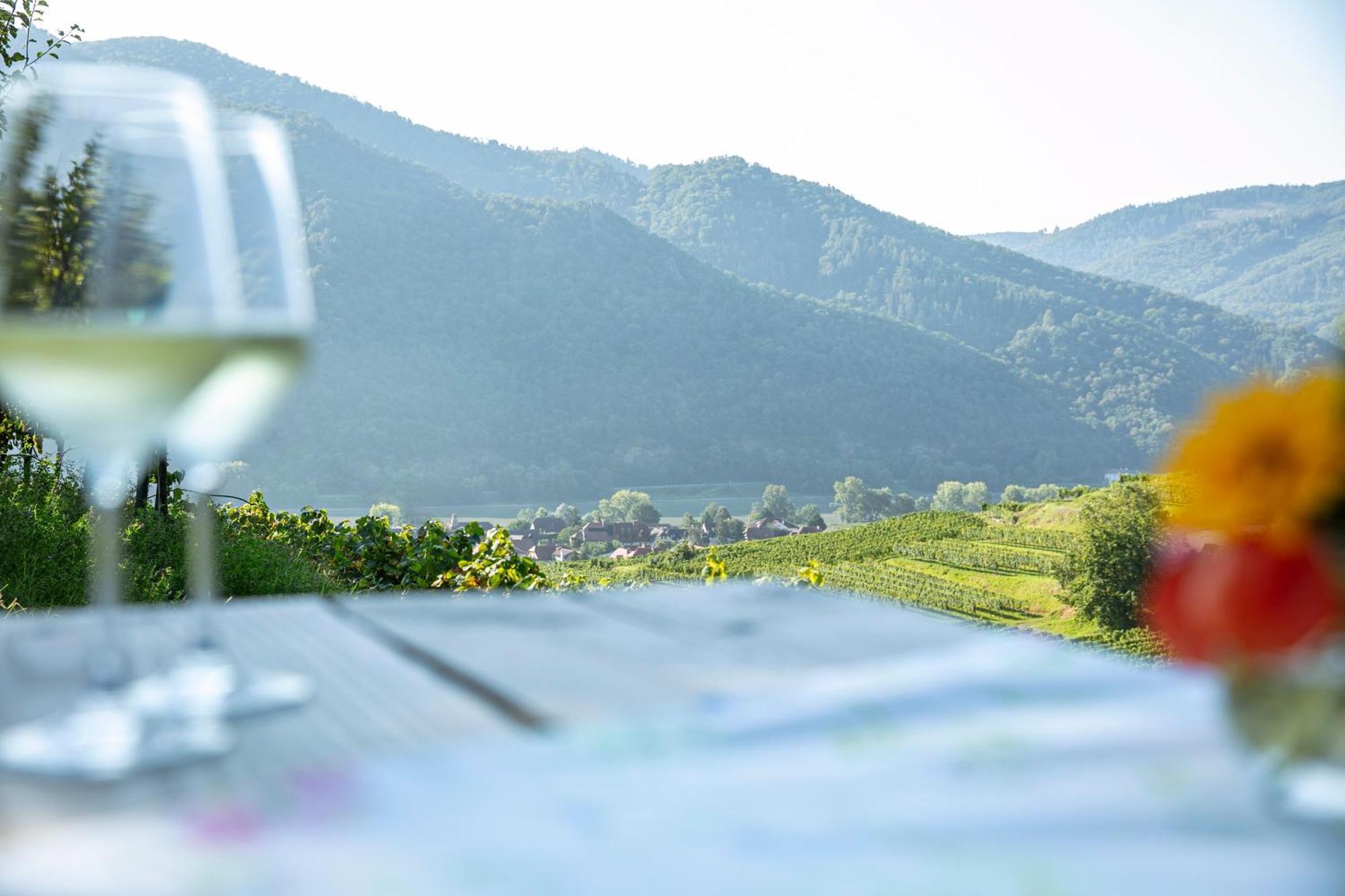 Weinbau Weidenauer Séjour chez l'habitant *