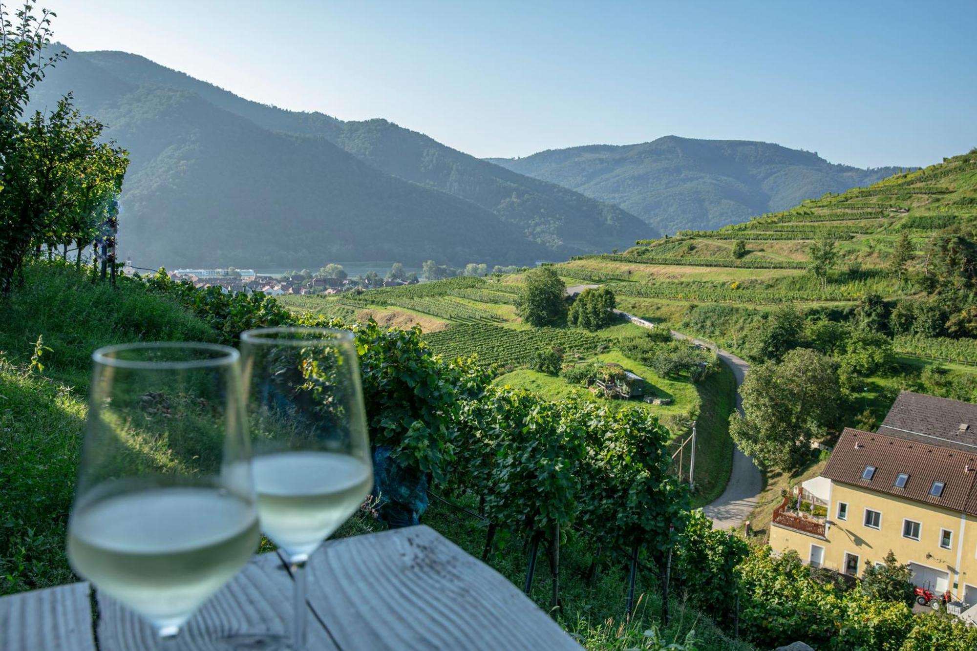 Weinbau Weidenauer Séjour chez l'habitant *