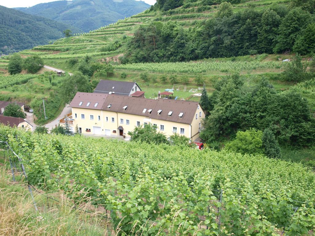 Privatunterkunft Weinbau Weidenauer *