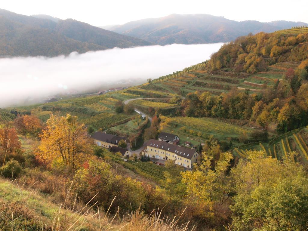 Weinbau Weidenauer Privatunterkunft